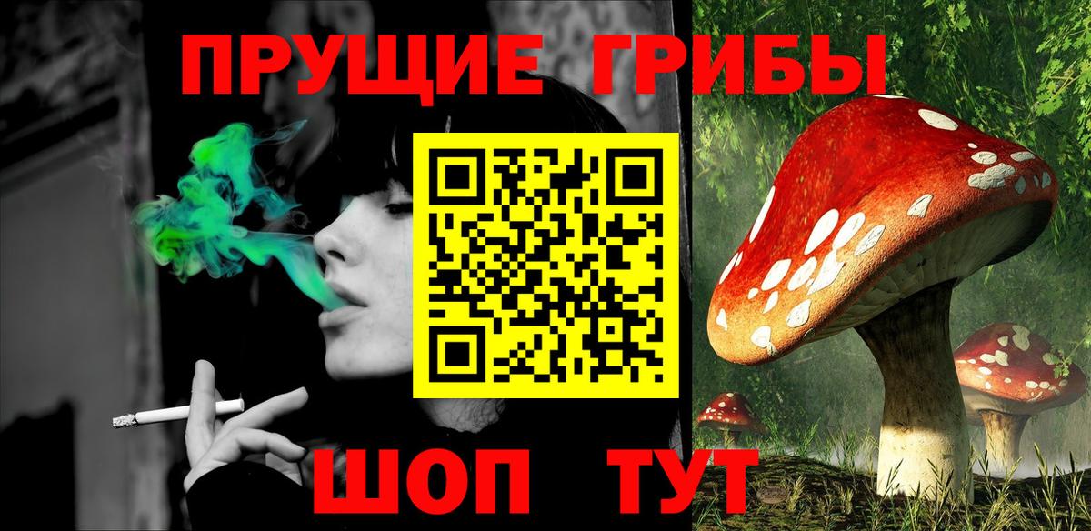 Кимовск  наркотики  Вход с VPN  Псилоцибиновые грибы ЛСД  Псилоцибиновые грибы мицелий 