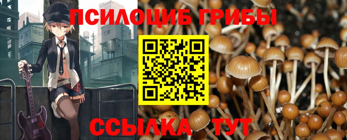 Галлюциногенные грибы ЛСД Кимовск